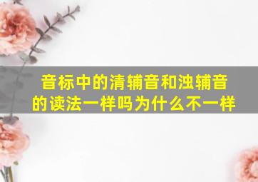 音标中的清辅音和浊辅音的读法一样吗为什么不一样