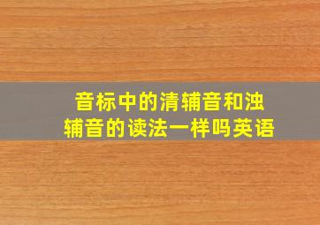 音标中的清辅音和浊辅音的读法一样吗英语