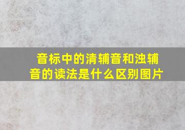 音标中的清辅音和浊辅音的读法是什么区别图片