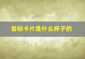 音标卡片是什么样子的