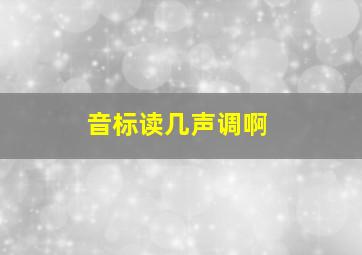 音标读几声调啊