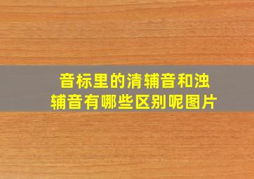 音标里的清辅音和浊辅音有哪些区别呢图片