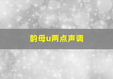 韵母u两点声调