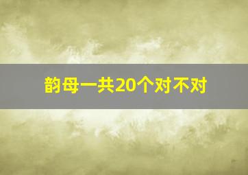 韵母一共20个对不对