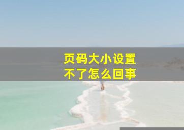 页码大小设置不了怎么回事