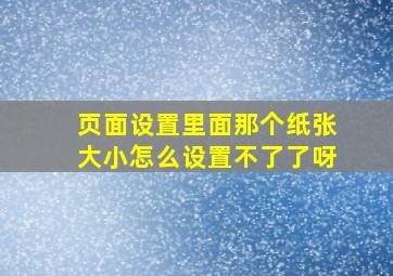 页面设置里面那个纸张大小怎么设置不了了呀