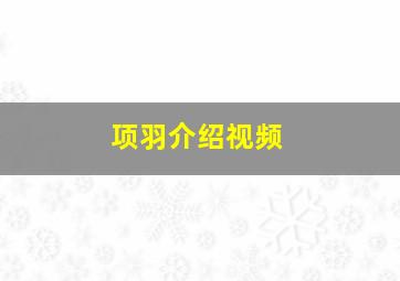 项羽介绍视频