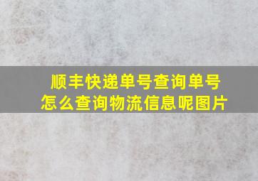 顺丰快递单号查询单号怎么查询物流信息呢图片