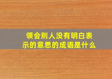 领会别人没有明白表示的意思的成语是什么