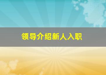 领导介绍新人入职