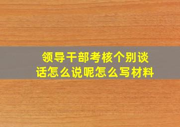 领导干部考核个别谈话怎么说呢怎么写材料