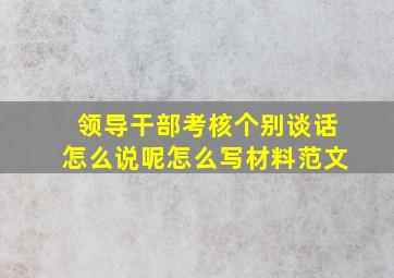 领导干部考核个别谈话怎么说呢怎么写材料范文