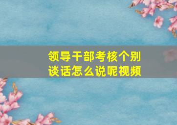 领导干部考核个别谈话怎么说呢视频