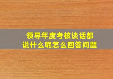 领导年度考核谈话都说什么呢怎么回答问题