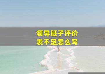 领导班子评价表不足怎么写