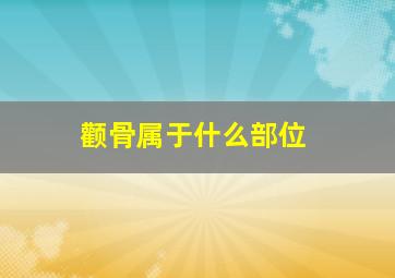 颧骨属于什么部位