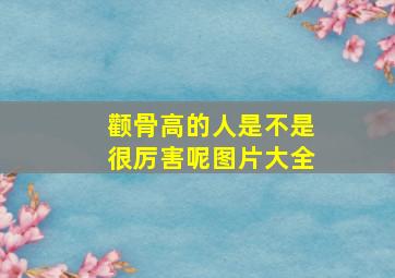 颧骨高的人是不是很厉害呢图片大全