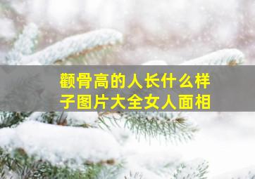 颧骨高的人长什么样子图片大全女人面相