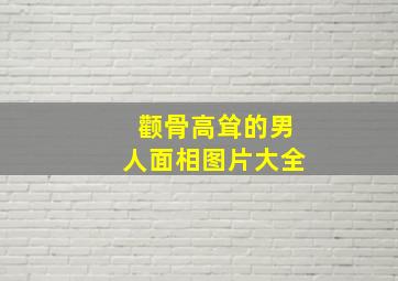 颧骨高耸的男人面相图片大全