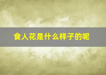 食人花是什么样子的呢