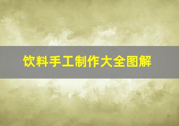 饮料手工制作大全图解