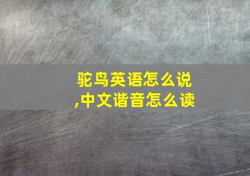 驼鸟英语怎么说,中文谐音怎么读