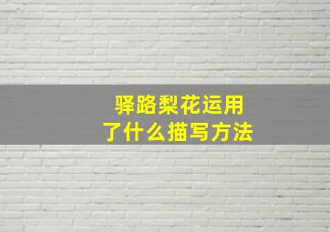 驿路梨花运用了什么描写方法