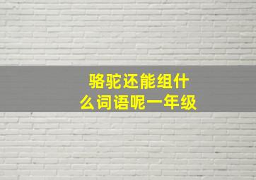 骆驼还能组什么词语呢一年级