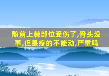 髂前上棘部位受伤了,骨头没事,但是疼的不能动,严重吗