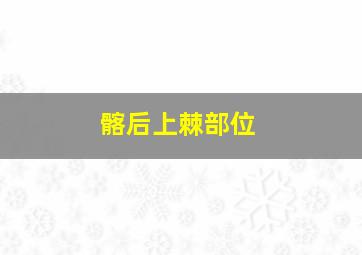 髂后上棘部位