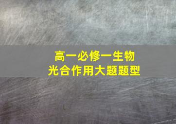 高一必修一生物光合作用大题题型