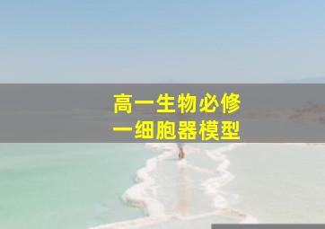 高一生物必修一细胞器模型