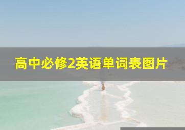 高中必修2英语单词表图片