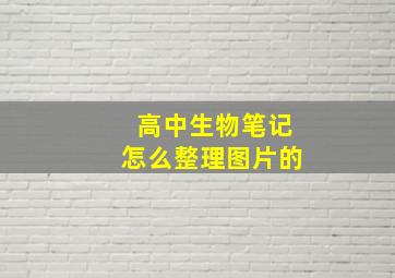 高中生物笔记怎么整理图片的