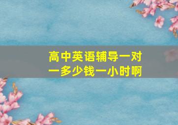 高中英语辅导一对一多少钱一小时啊