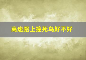 高速路上撞死鸟好不好