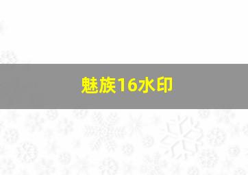 魅族16水印