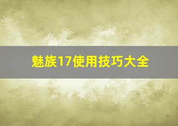 魅族17使用技巧大全