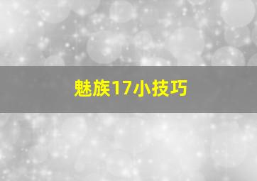 魅族17小技巧