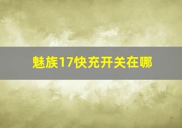 魅族17快充开关在哪