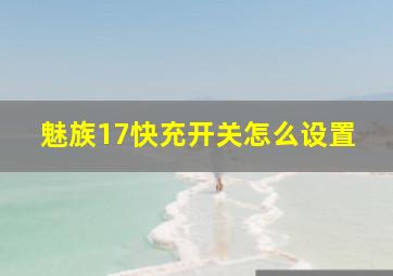 魅族17快充开关怎么设置