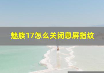 魅族17怎么关闭息屏指纹