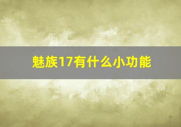 魅族17有什么小功能