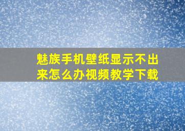 魅族手机壁纸显示不出来怎么办视频教学下载