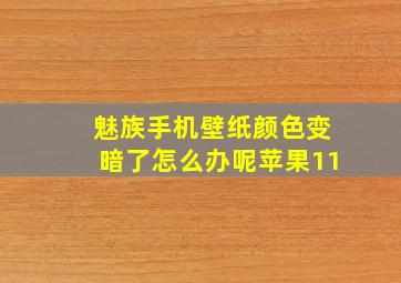 魅族手机壁纸颜色变暗了怎么办呢苹果11