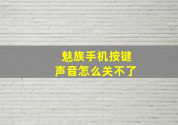 魅族手机按键声音怎么关不了