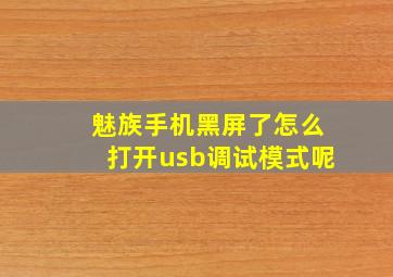 魅族手机黑屏了怎么打开usb调试模式呢