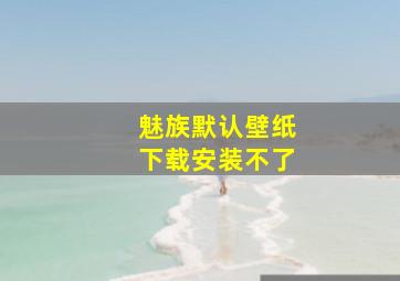 魅族默认壁纸下载安装不了