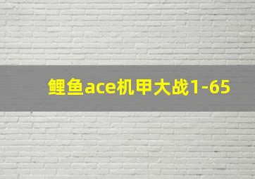 鲤鱼ace机甲大战1-65