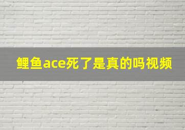 鲤鱼ace死了是真的吗视频